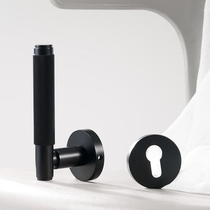 A308B-233-QBCF Modern Regular Door Locks