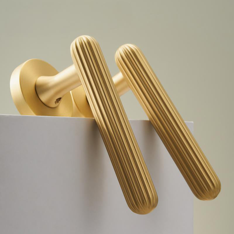 A308B-Z219 Modern Regular Door Locks