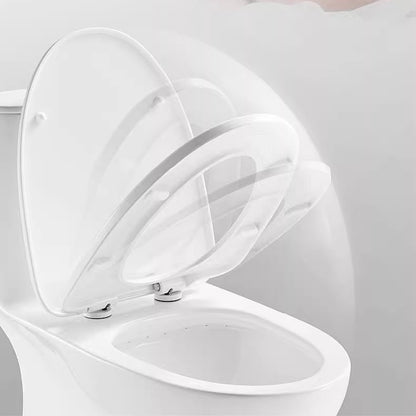 AG1003M/L Modern Ceramic Traditional Toilets