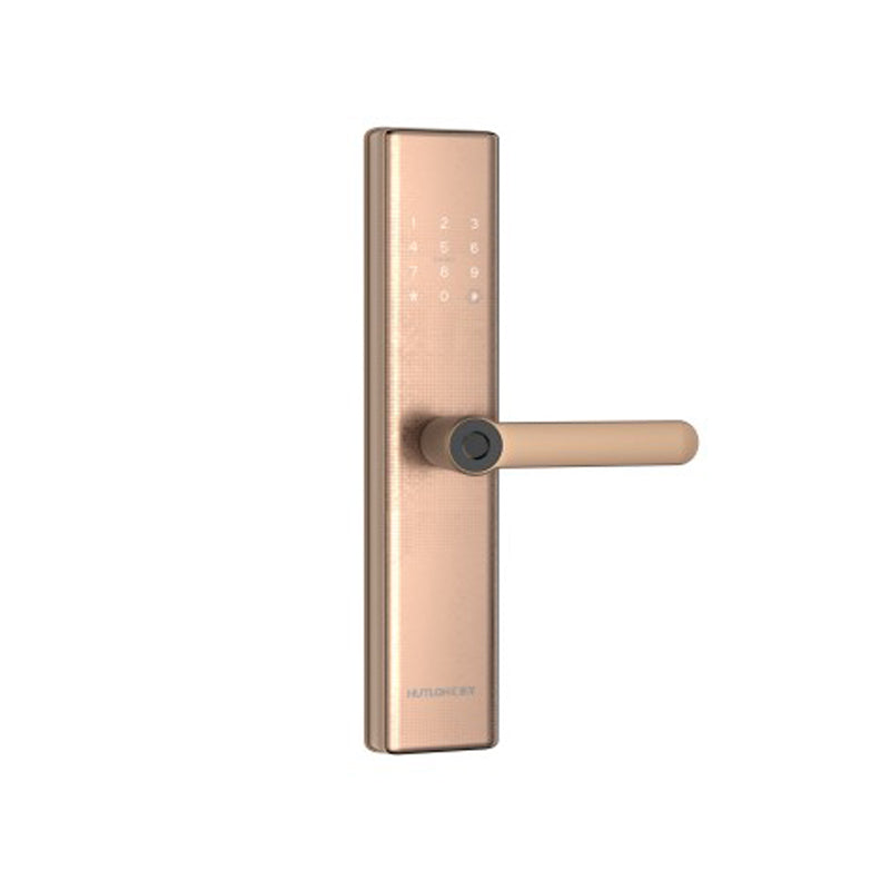 A4 Modern Intelligent Door Locks
