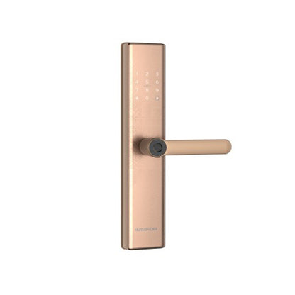 A4 Modern Intelligent Door Locks