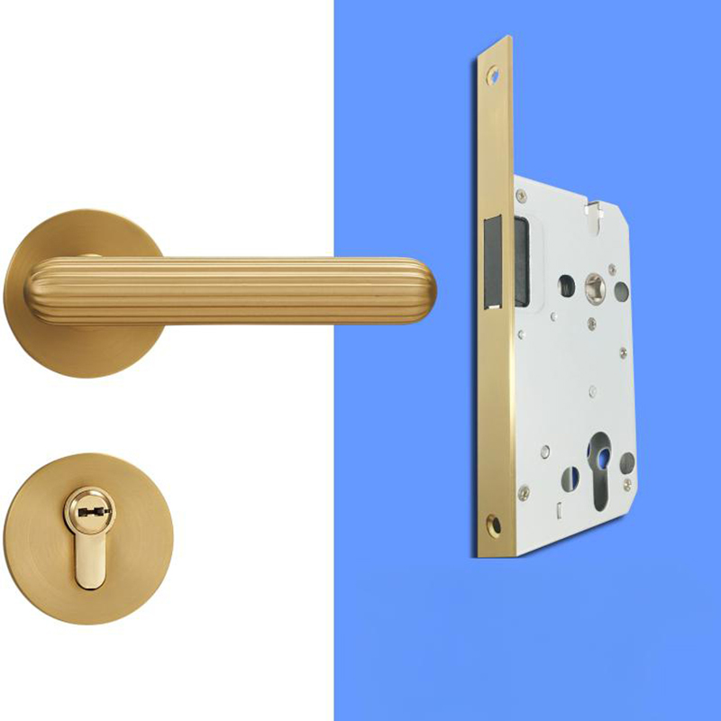 A308B-Z219 Modern Regular Door Locks