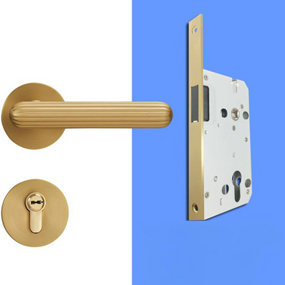 A308B-Z219 Modern Regular Door Locks