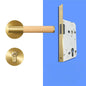 A308B-223-SB Modern Regular Door Locks