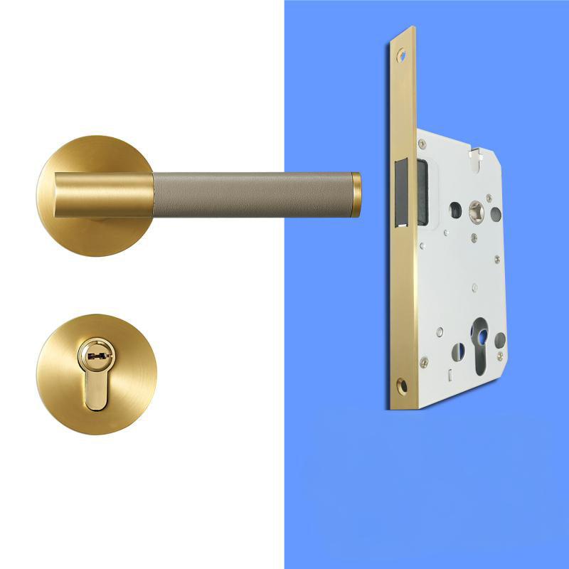 A308B-223-SB Modern Regular Door Locks