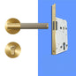 A308B-223-SB Modern Regular Door Locks