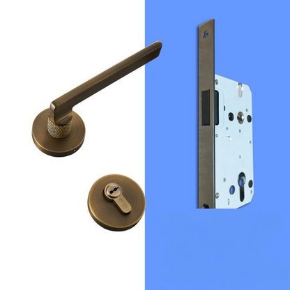 A308B-Z213 Modern Regular Door Locks