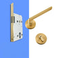 A308B-Z213 Modern Regular Door Locks