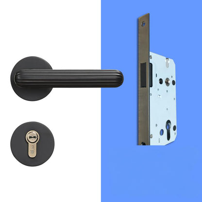 A308B-Z219 Modern Regular Door Locks