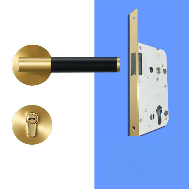 A308B-223-SB Modern Regular Door Locks