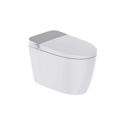ZCM797AW Modern  Intelligent Toilets