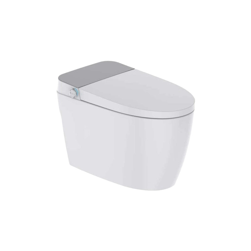ZCM797AW Modern  Intelligent Toilets