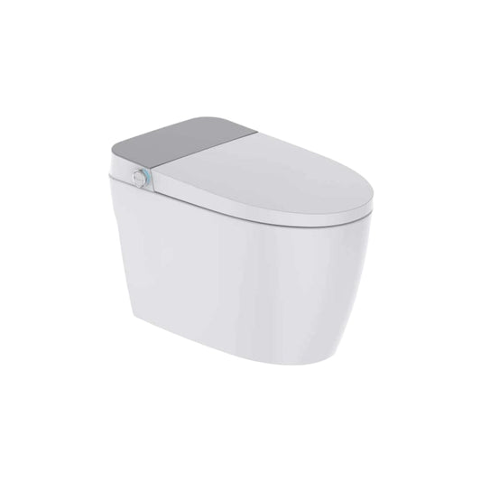 ZCM797AW Modern  Intelligent Toilets