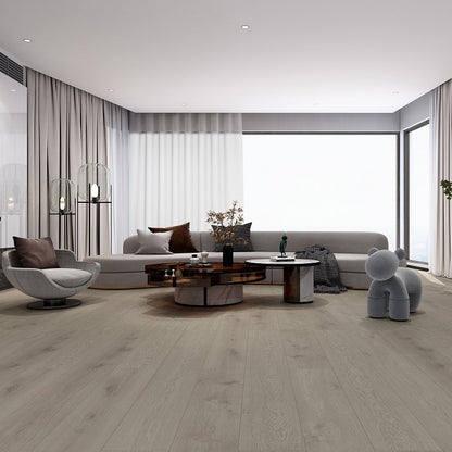 G1.11576 Modern Laminate Flooring