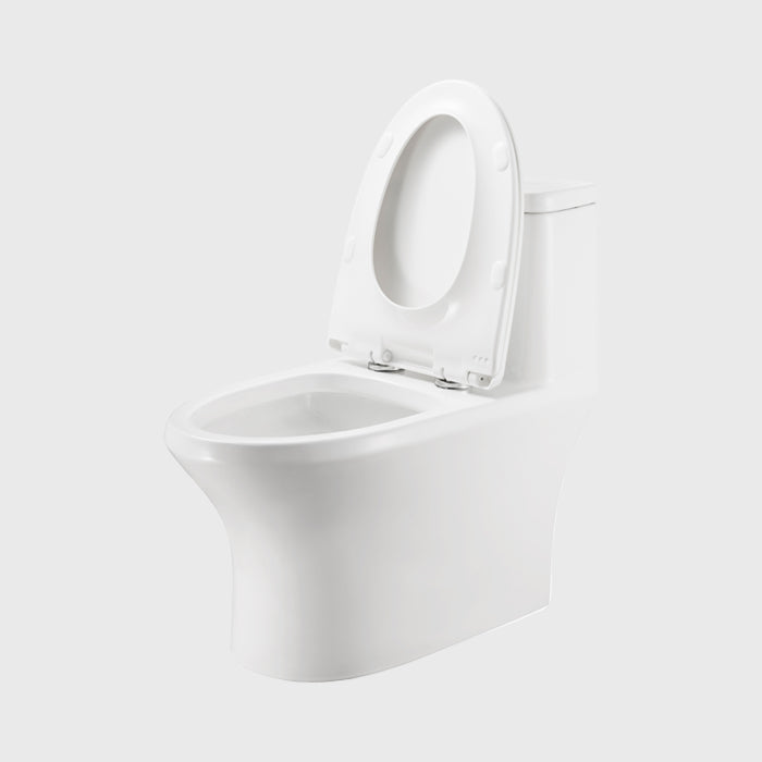 1100049664 Modern Traditional Toilets