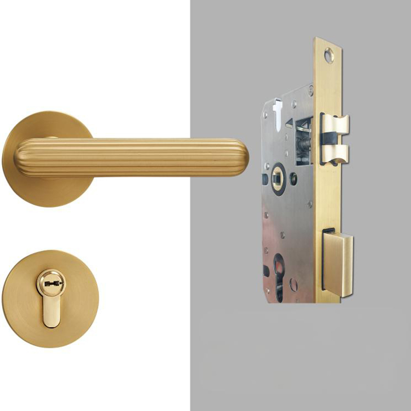 A308B-Z219 Modern Regular Door Locks
