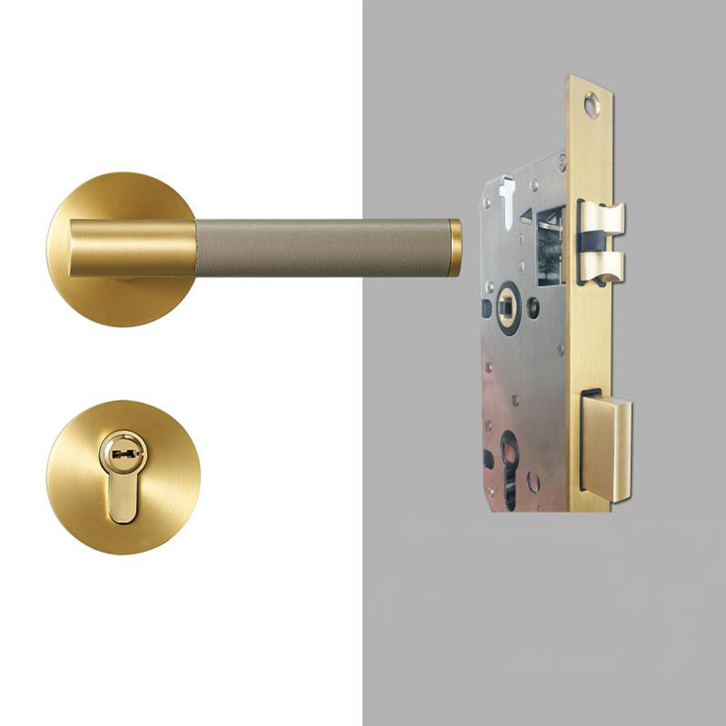 A308B-223-SB Modern Regular Door Locks