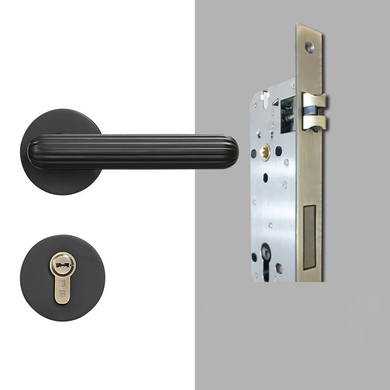 A308B-Z219 Modern Regular Door Locks