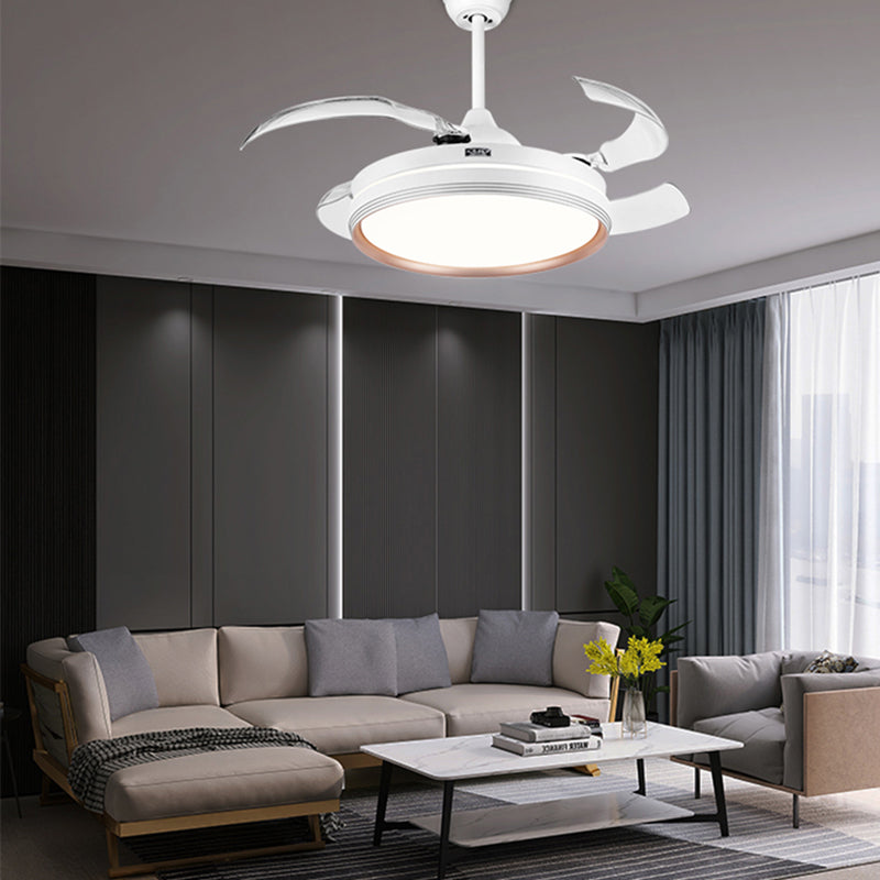 3535 Modern Ceiling Fans In The Living Room