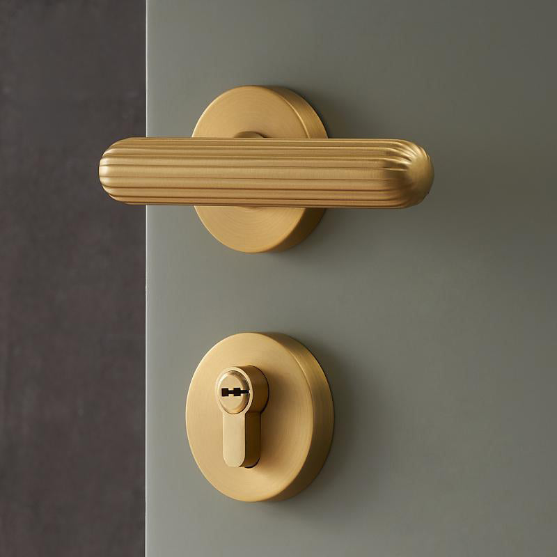 A308B-Z219 Modern Regular Door Locks