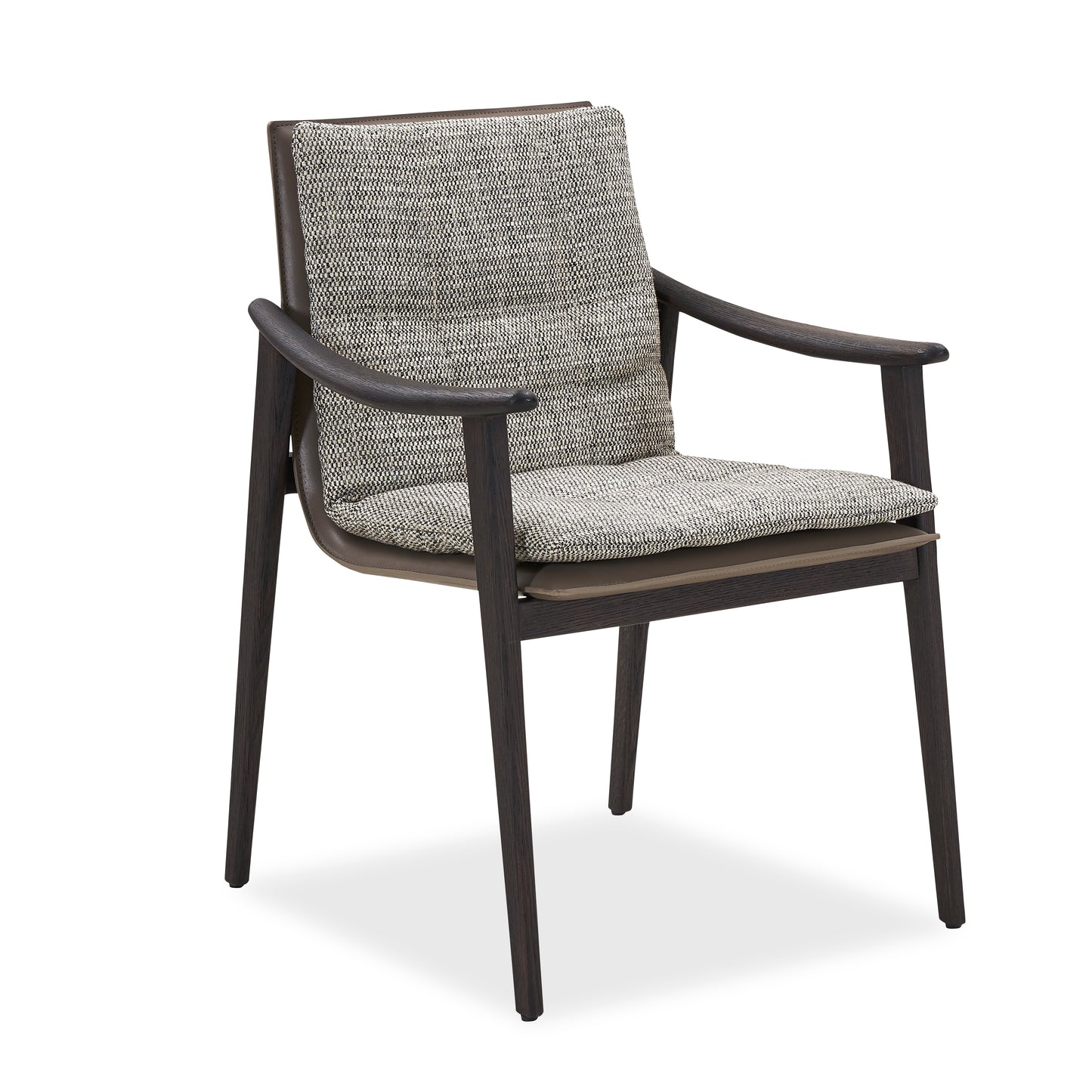 CW31019 Modern Dining Chairs