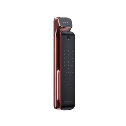 D1Pro Modern Intelligent Door Locks