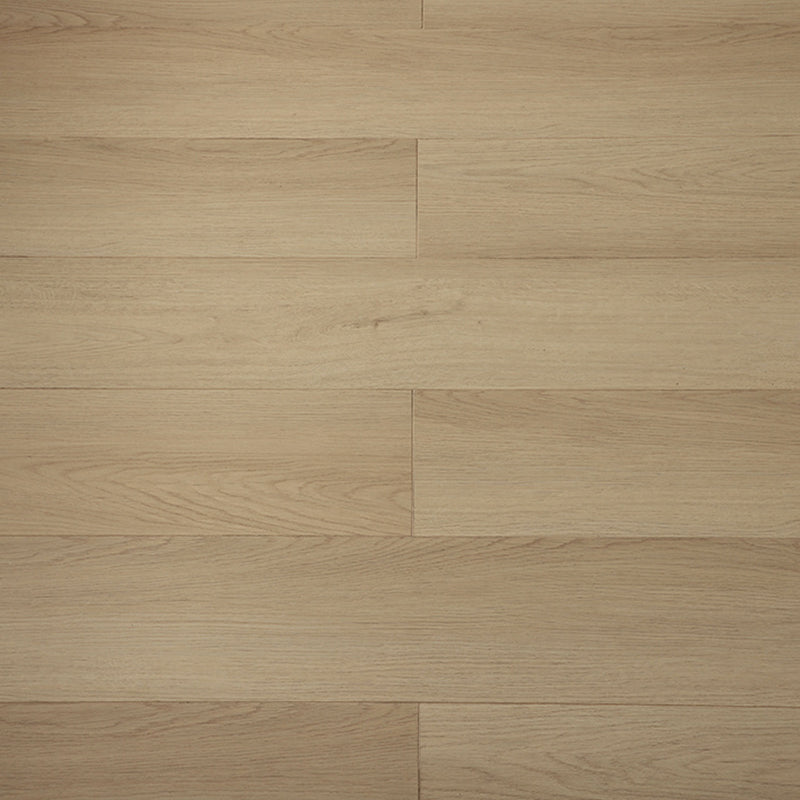 FD1133 現代層壓地板