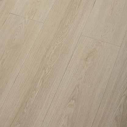 FD8002 現代層壓地板