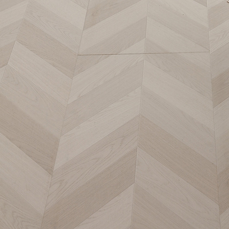 GD6501 現代層壓地板