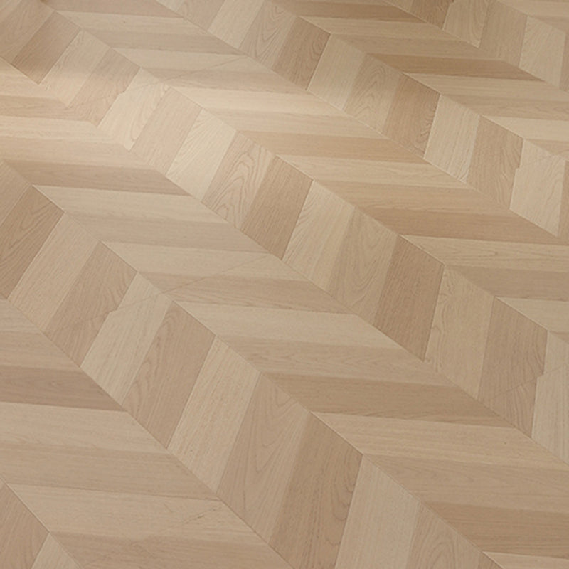 GD6501 現代層壓地板