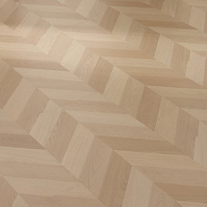 GD6501 現代層壓地板