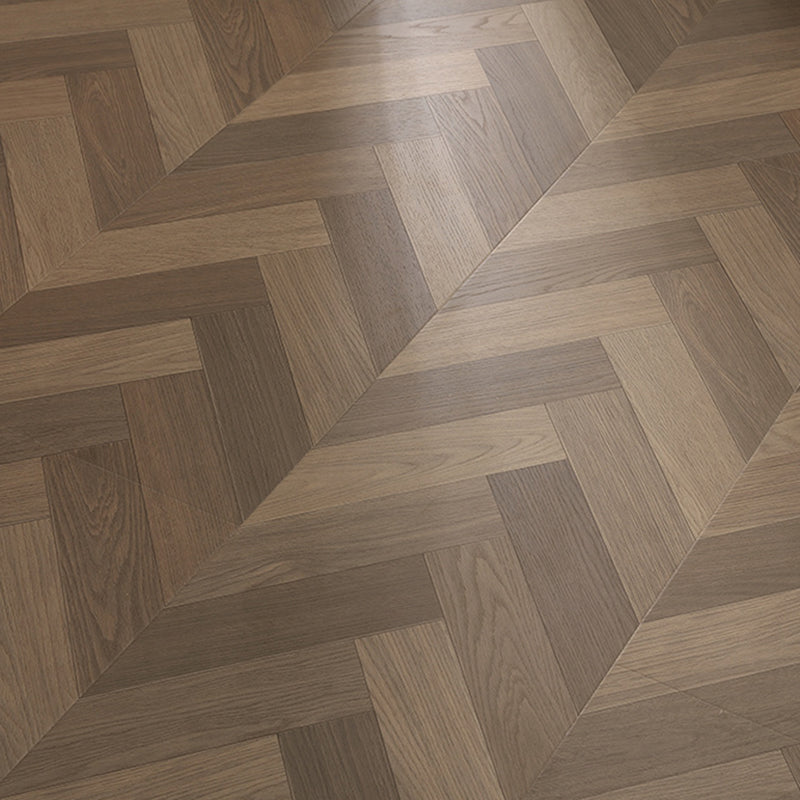 GD6501 現代層壓地板