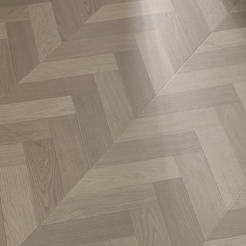 GD6501 現代層壓地板