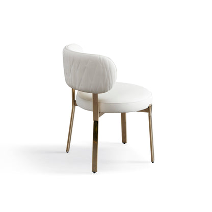 JJ-Y329 Modern Dining Chairs