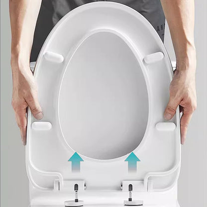 AG1003M/L Modern Ceramic Traditional Toilets