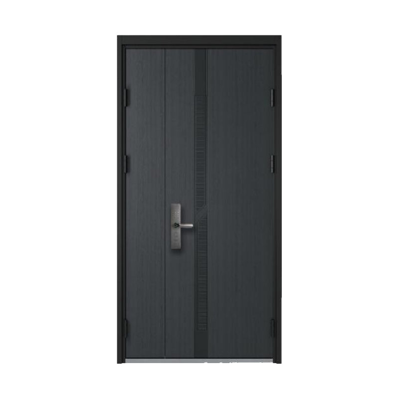 ประตูทางเข้าแบบโมเดิร์น TRE102