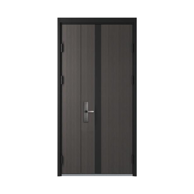 ประตูทางเข้าแบบโมเดิร์น TRE101