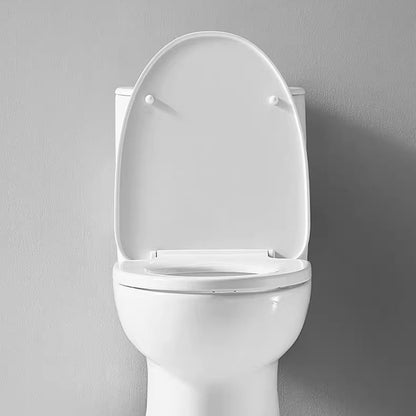 AG1003M/L Modern Ceramic Traditional Toilets
