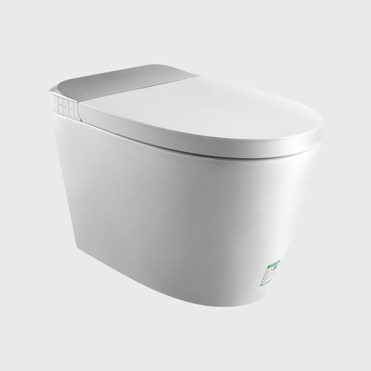 1100070625 Modern Smart Toilets