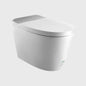 1100070625 Modern Smart Toilets
