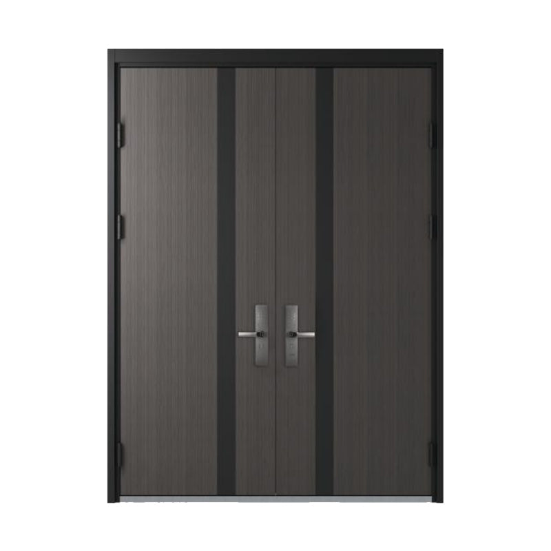 ประตูทางเข้าแบบโมเดิร์น TRE101