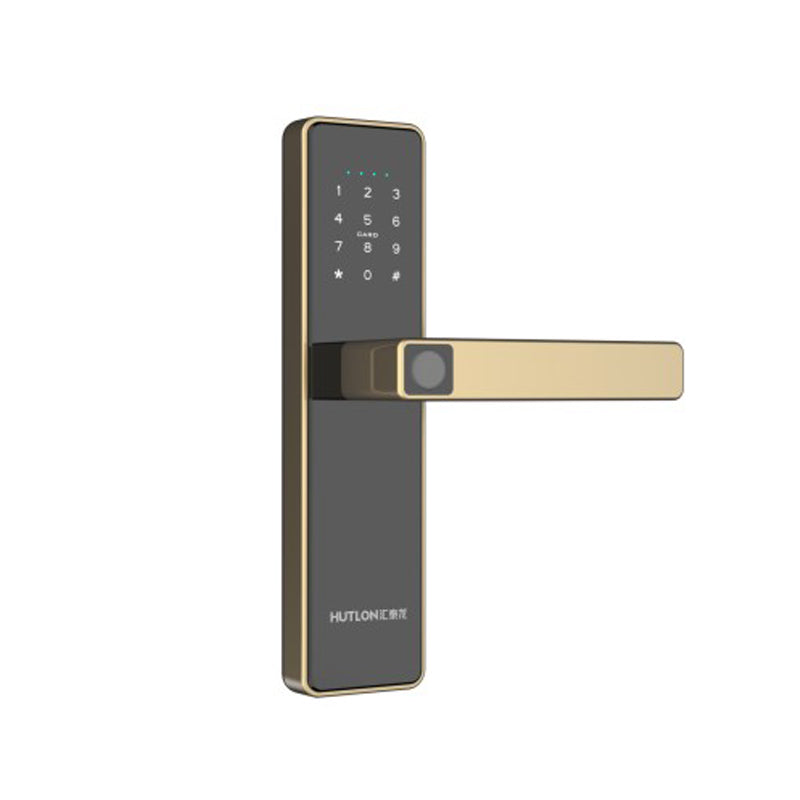 A8mini Modern Intelligent Door Locks