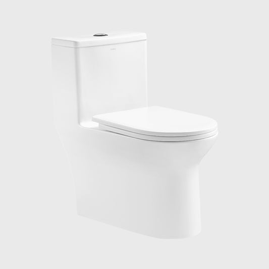1100055351 Modern Traditional Toilets