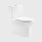1100055351 Modern Traditional Toilets
