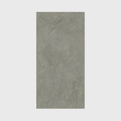 CT15620AS Glossy Stone-patterned Tiles