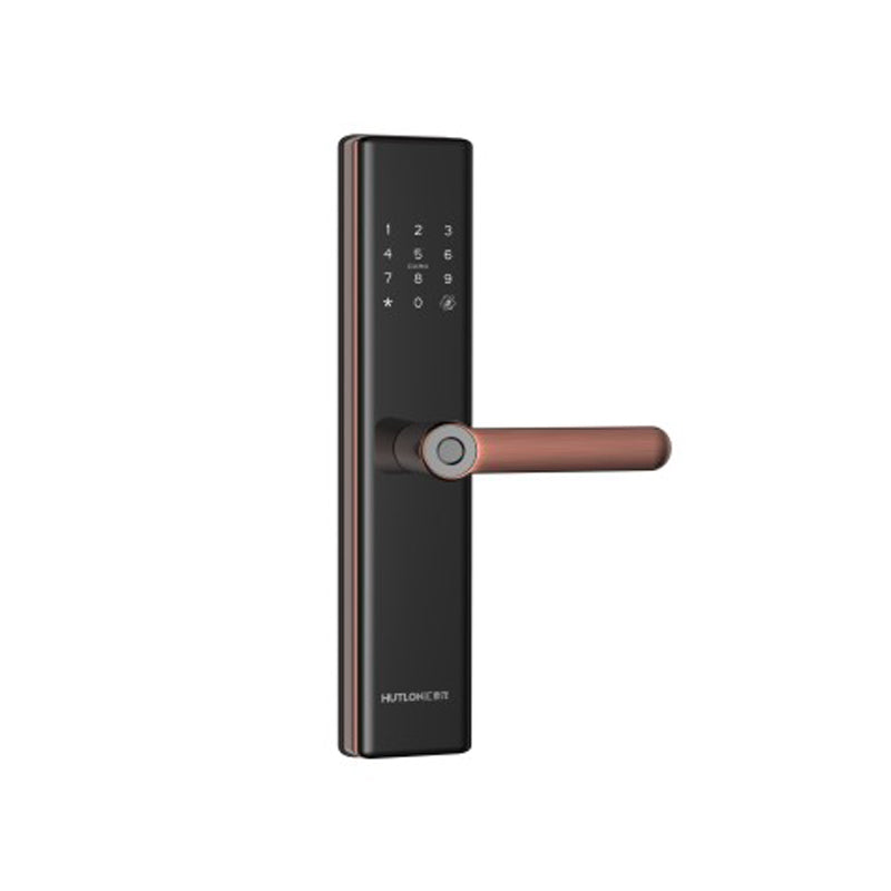 A4 Modern Intelligent Door Locks