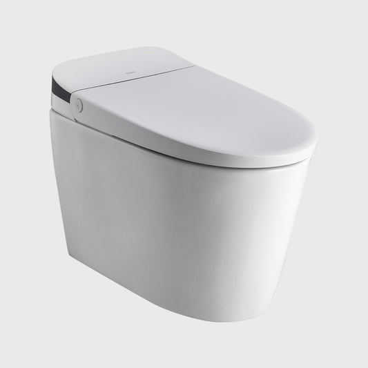 1100065594 Modern Smart Toilets