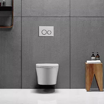 AB2170H Modern Ceramic Traditional Toilets