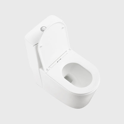 1100056111 Modern Traditional Toilets