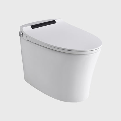 1100065592 Modern Smart Toilets